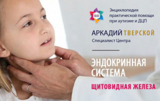 Функции щитовидной железы